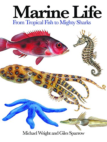 Beispielbild fr Marine Life: From Tropical Fish to Mighty Sharks (Mini Encyclopedia) zum Verkauf von HPB-Red