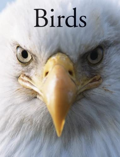 Beispielbild fr Birds zum Verkauf von Monster Bookshop