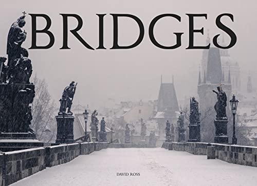 Stock image for Bridges for sale by Books-FYI, Inc.