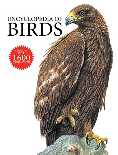 9781782747154: Encyclopedia of Birds