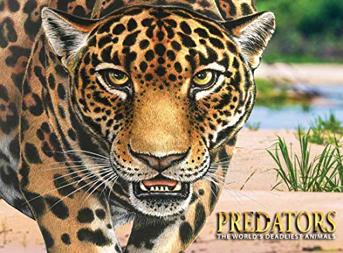 Imagen de archivo de Predators: The World's Deadliest Animals a la venta por ThriftBooks-Dallas