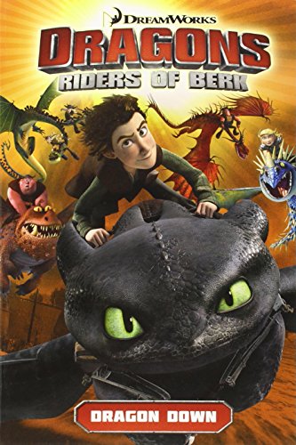 Beispielbild fr Dragons Riders of Berk: Dragon Down zum Verkauf von Goodwill