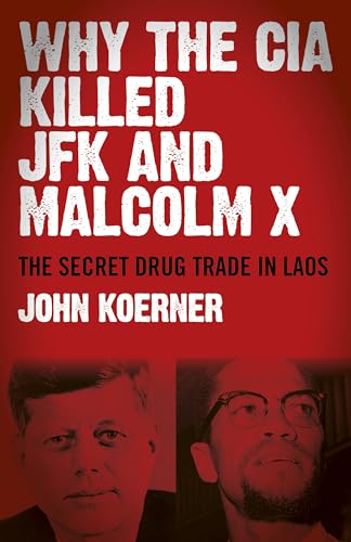 Stock image for WHY THE CIA KILLED JFK & MALCOLM X Format: Paperback for sale by INDOO