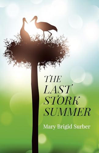 9781782799344: Last Stork Summer, The