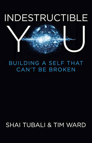 Beispielbild fr Indestructible You: Building a Self that Can't be Broken zum Verkauf von WorldofBooks