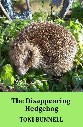 Stock image for The Disappearing Hedgehog for sale by AwesomeBooks