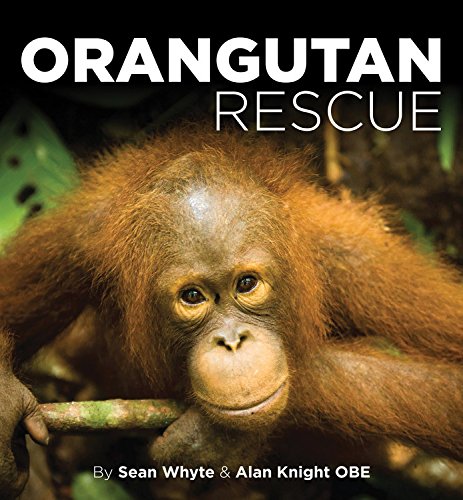 Beispielbild fr Orangutan Rescue: Saving Borneo's Orangutans zum Verkauf von WorldofBooks