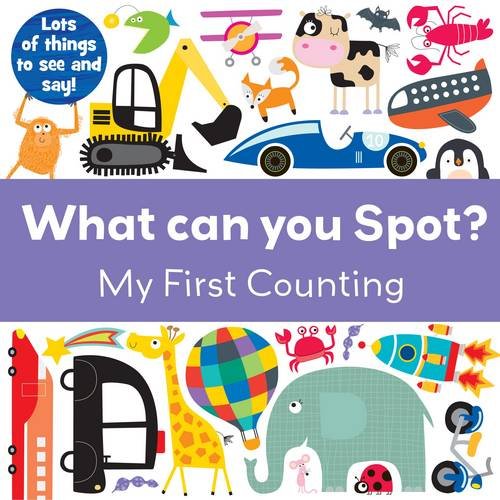 Beispielbild fr What Can You Spot? Counting zum Verkauf von WorldofBooks