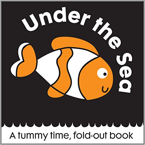 Imagen de archivo de First Focus Frieze Under the Sea a la venta por WorldofBooks