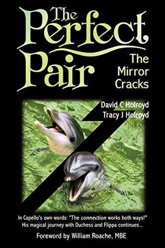 Beispielbild fr The Perfect Pair: The Mirror Cracks zum Verkauf von WorldofBooks