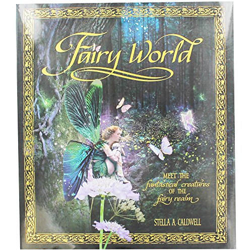 Beispielbild fr Fairy World zum Verkauf von WorldofBooks