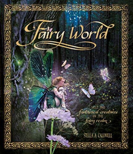 9781783121823: Fairy World