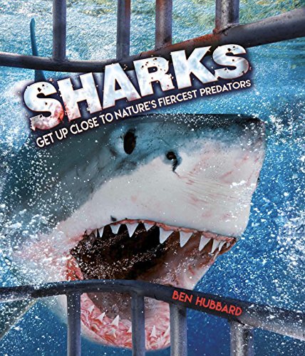 Beispielbild fr Sharks: Get Up Close to Natures Fiercest Predators (Y) zum Verkauf von Reuseabook