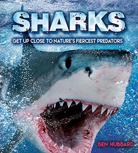 Imagen de archivo de Sharks : Get up Close to Nature's Fiercest Predators a la venta por Better World Books