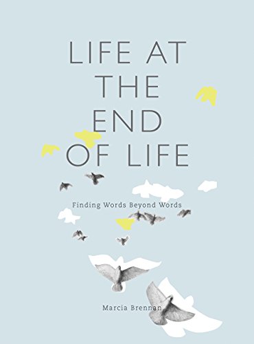 Stock image for Life at the End of Life: Finding Words Beyond Words for sale by Chiron Media