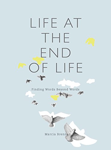 Stock image for Life at the End of Life: Finding Words Beyond Words for sale by Books Unplugged