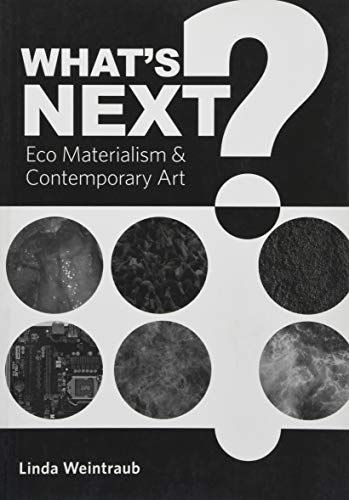 Beispielbild fr What's Next?: Eco Materialism and Contemporary Art zum Verkauf von ThriftBooks-Atlanta