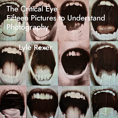 9781783209842: The Critical Eye: Fifteen Pictures to Understand Photography (Investigations of Lens and Screen Arts)