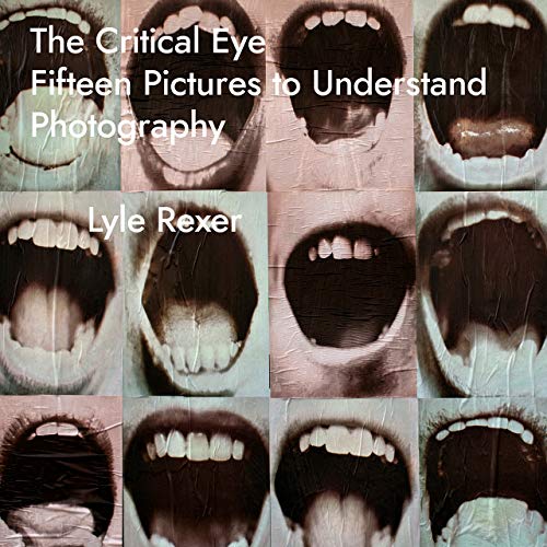 9781783209842: The Critical Eye: Fifteen Pictures to Understand Photography