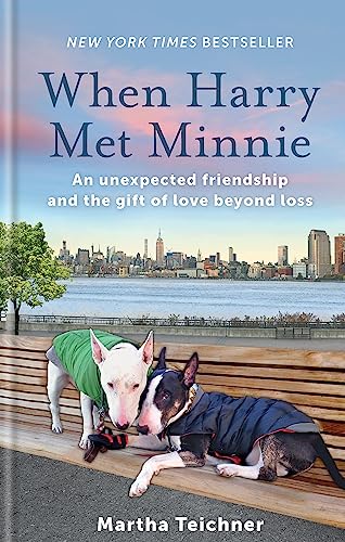 9781783253036: When Harry Met Minnie: An unexpected friendship and the gift of love beyond loss