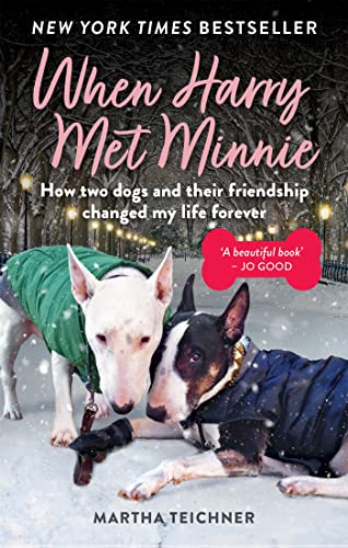 9781783254866: When Harry Met Minnie: An unexpected friendship and the gift of love beyond loss