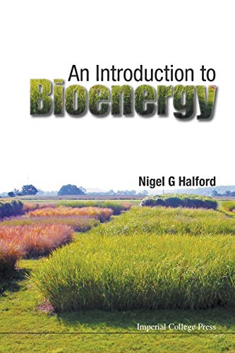 Stock image for Introduction To Bioenergy, An for sale by suffolkbooks