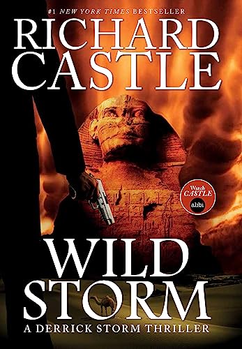 9781783293988: Wild Storm: A Derrick Storm Novel