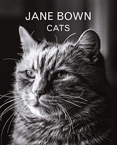 Stock image for Jane Bown: Cats for sale by HPB-Movies