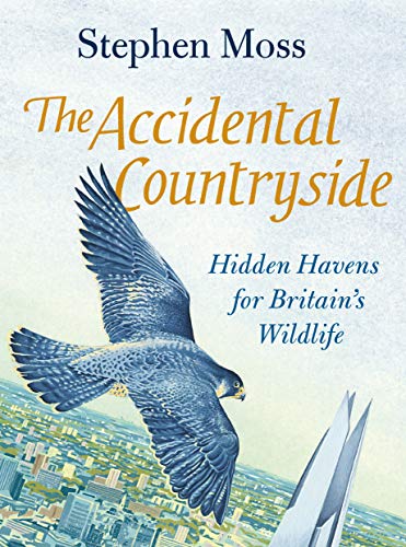9781783351640: The Accidental Countryside: Hidden Havens for Britain's Wildlife