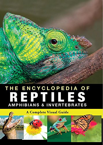 Imagen de archivo de The Encyclopedia of Reptiles, Amphibians & Invertebrates a la venta por WorldofBooks