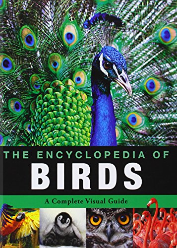 Imagen de archivo de Encyclopedia of Animals - Birds a la venta por Wonder Book