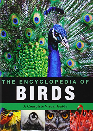 Stock image for Encyclopedia of Animals - Birds for sale by Wonder Book