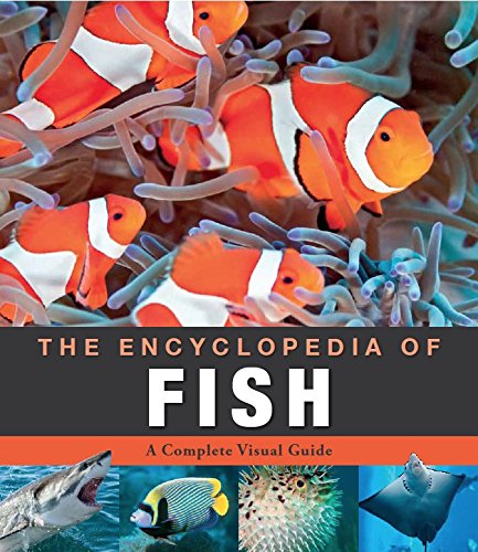 Imagen de archivo de Encyclopedia of Animals Fish a la venta por HPB-Diamond