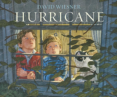 Stock image for Hurricane: David Wiesner for sale by WorldofBooks