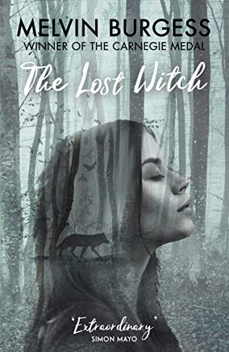 Beispielbild fr The Lost Witch zum Verkauf von WorldofBooks