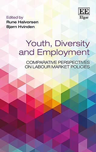 Imagen de archivo de Youth, Diversity and Employment: Comparative Perspectives on Labour Market Policies a la venta por Bestsellersuk