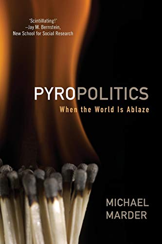 Beispielbild fr Pyropolitics: When the World is Ablaze zum Verkauf von AwesomeBooks