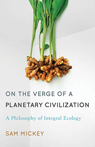 Stock image for On the Verge of a Planetary Civilization: A Philosophy of Integral Ecology for sale by Michael Lyons