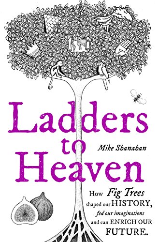 Stock image for Ladders to Heaven for sale by WorldofBooks