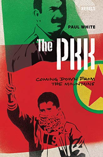 9781783600380: The PKK: Coming Down from the Mountains