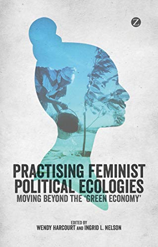 Imagen de archivo de Practicing Feminist Political Ecologies: Moving Beyond the 'Green Economy' a la venta por Midtown Scholar Bookstore