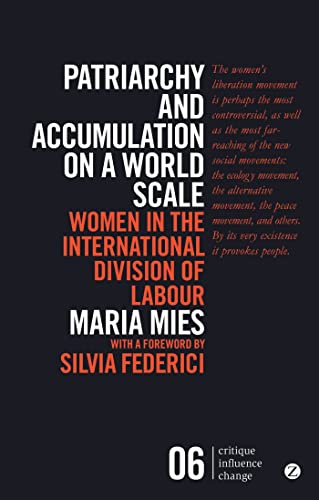 Stock image for Patriarchy and Accumulation on a World Scale Women in the International Division of Labour for sale by TextbookRush