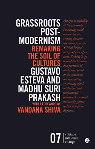 Stock image for Grassroots Postmodernism: Remaking the Soil of Cultures (Critique Influence Change) for sale by BooksRun