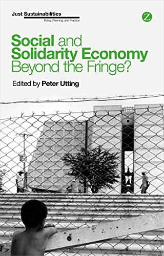 Stock image for Social and Solidarity Economy Beyond the Fringe Just Sustainabilities for sale by PBShop.store US