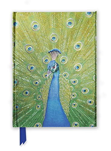 9781783611478: Peacock in Blue & Green Foiled Journal: 36