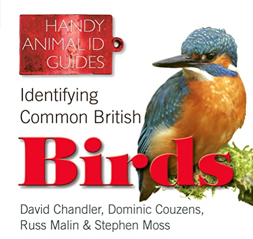 Imagen de archivo de Identifying Common British Birds (Handy Animal ID Guides) (Handy Petcare Guides) a la venta por WorldofBooks