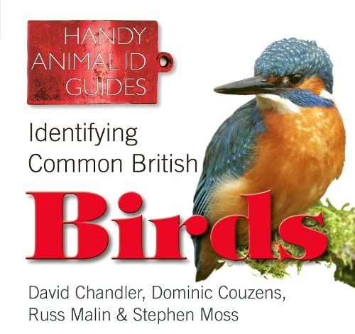 Stock image for Identifying Common British Birds (Handy Animal ID Guides) (Handy Petcare Guides) for sale by WorldofBooks