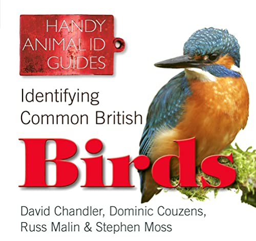 Stock image for Identifying Common British Birds (Handy Animal ID Guides) (Handy Petcare Guides) for sale by WorldofBooks