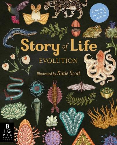 9781783702725: Evolution. Story Of Life