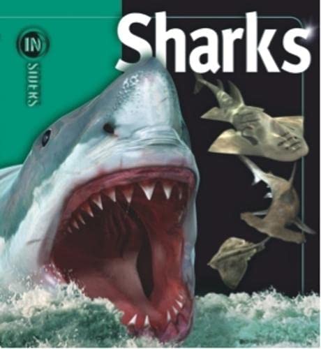 Beispielbild fr Insiders Sharks zum Verkauf von WorldofBooks